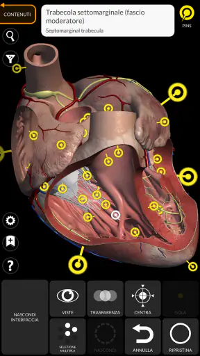 Anatomia - Atlante 3D screenshot