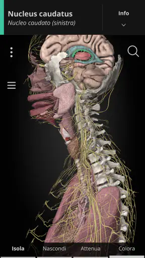 Anatomyka - Anatomia 3D screenshot