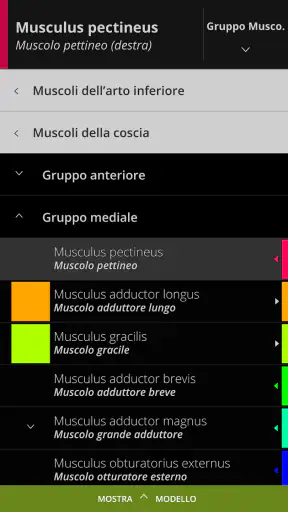 Anatomyka - Anatomia 3D screenshot
