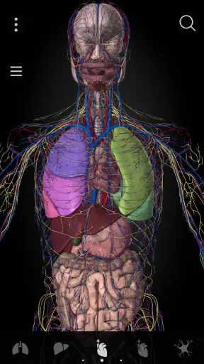 Anatomyka - Anatomia 3D screenshot