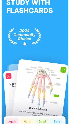 Anki Pro: Flashcards Learning screenshot