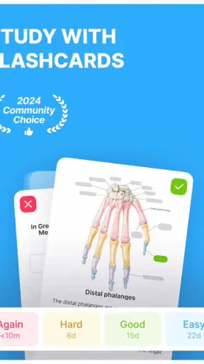 Anki Pro: Flashcards Learning screenshot