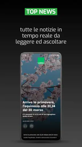 ANSA screenshot