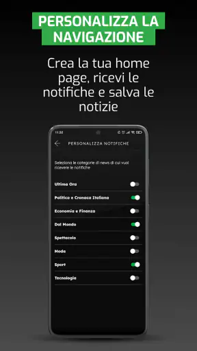 ANSA screenshot