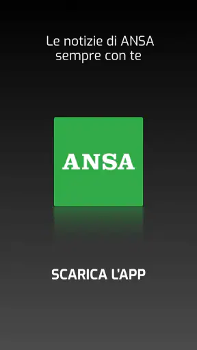ANSA screenshot