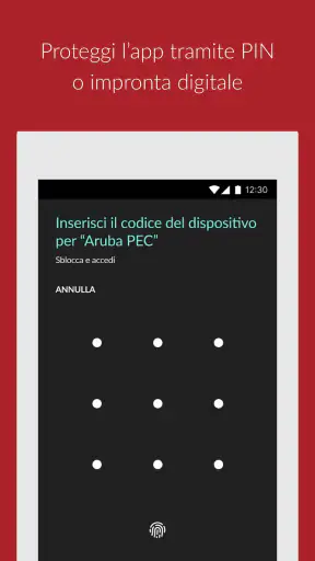 Aruba PEC screenshot