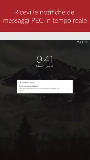 Aruba PEC screenshot