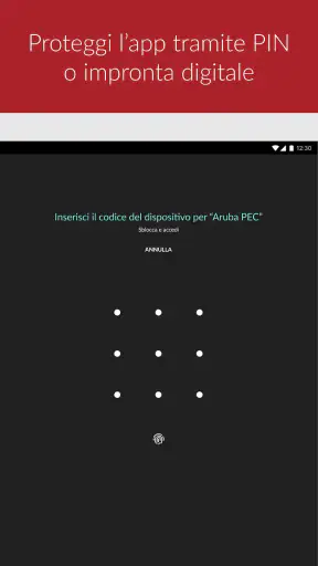 Aruba PEC screenshot