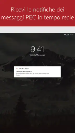 Aruba PEC screenshot