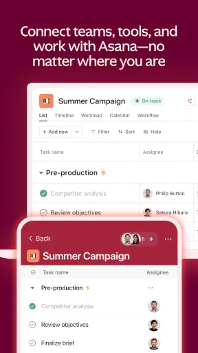 Asana screenshot