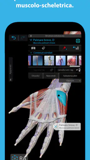 Atlante di anatomia umana 2025 screenshot