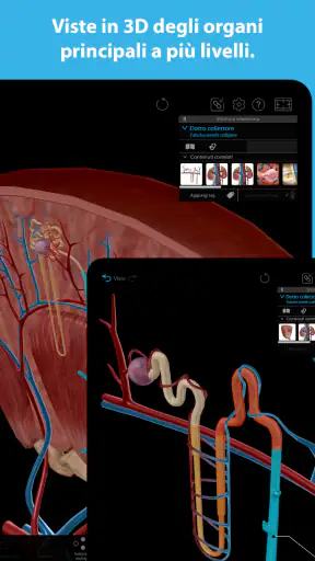 Atlante di anatomia umana 2025 screenshot