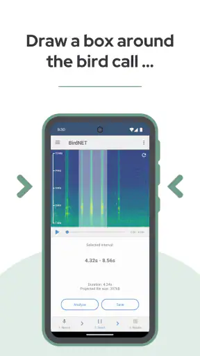 BirdNET screenshot