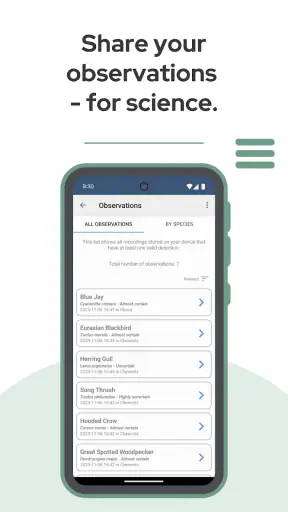 BirdNET screenshot