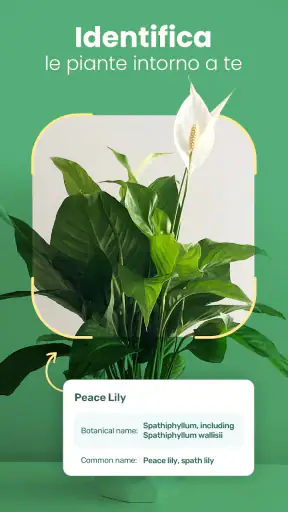 Blossom - Riconosci le piante screenshot