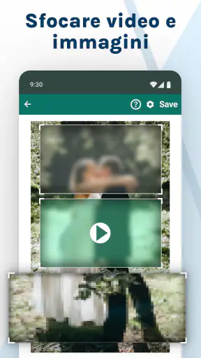 Blur Video & Image screenshot