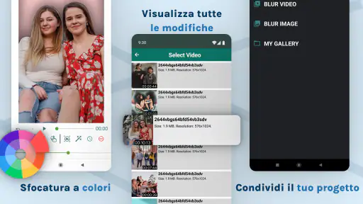 Blur Video & Image screenshot