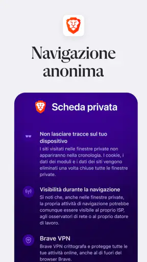 Brave Browser Web VPN Privato screenshot