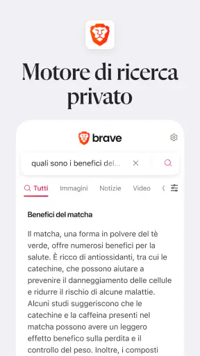 Brave Browser Web VPN Privato screenshot