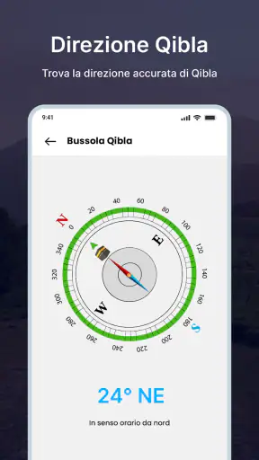 Bussola: bussola digitale screenshot