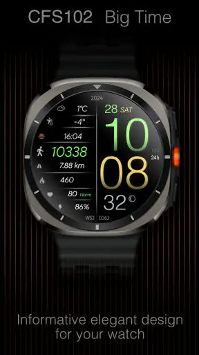 CFS102 Big Time screenshot