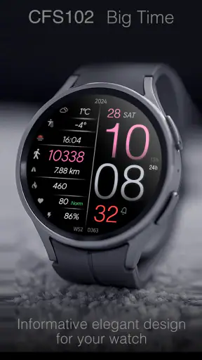CFS102 Big Time screenshot