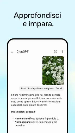 ChatGPT screenshot