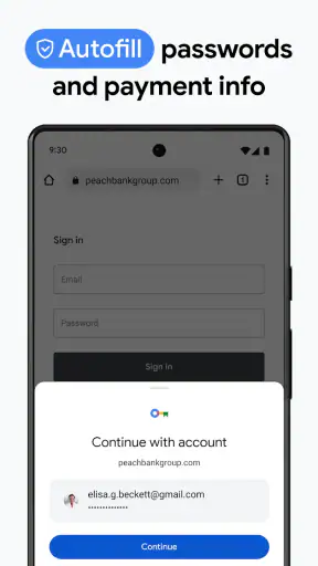Chrome Dev screenshot