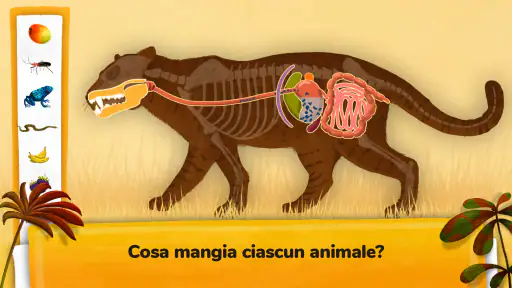 Come funzionano gli animali? screenshot