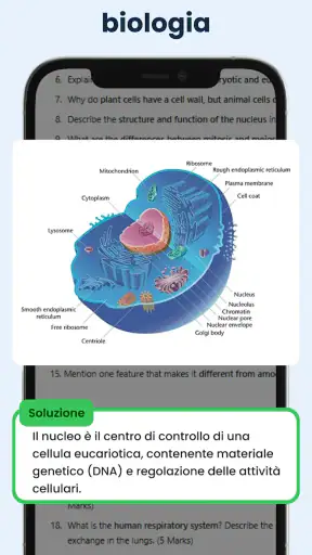 Compiti IA: Risolve Problemi screenshot