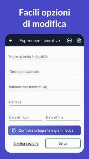 Curriculum Vitae - CV Engineer screenshot