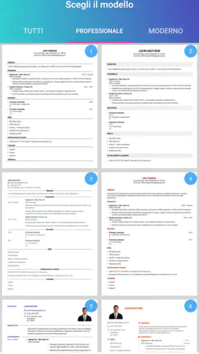 Curriculum vitae, CV Europeo screenshot