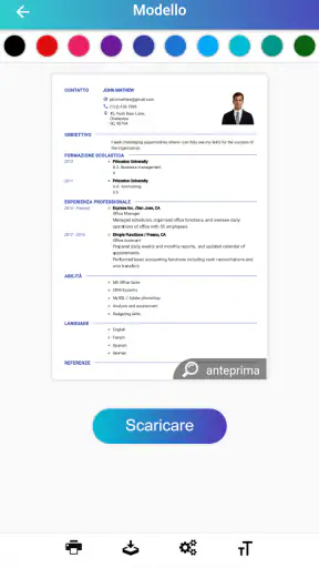 Curriculum vitae, CV Europeo screenshot