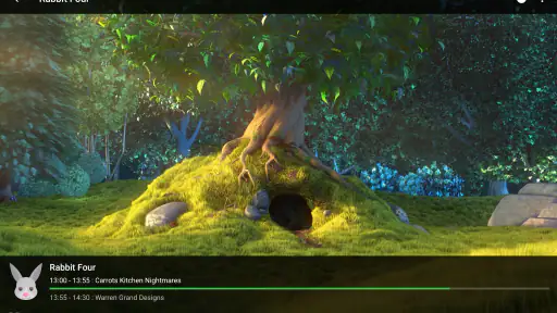 Dimplay: Live Player screenshot