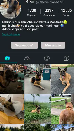 DogPack: Parchi e servizi cani screenshot