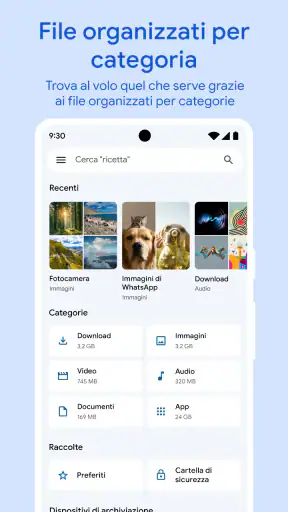 Files by Google screenshot