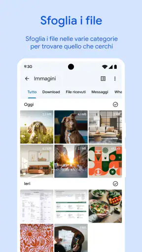 Files by Google screenshot