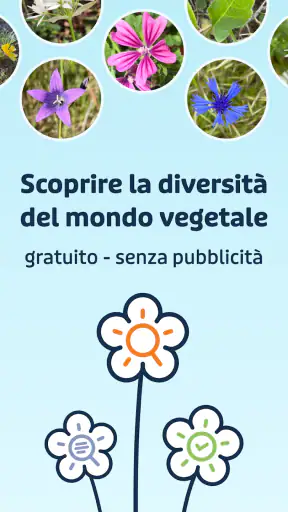Flora Incognita screenshot