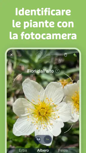Flora Incognita screenshot