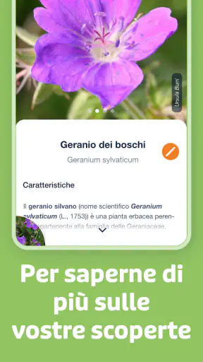 Flora Incognita screenshot