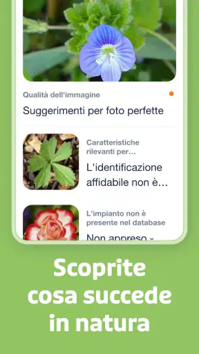 Flora Incognita screenshot