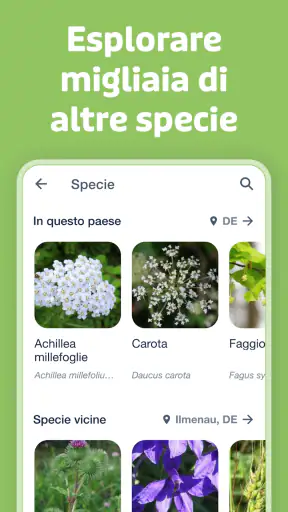 Flora Incognita screenshot