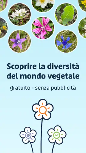 Flora Incognita screenshot