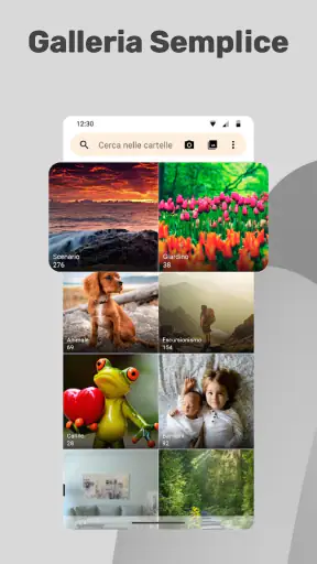Galleria Semplice screenshot