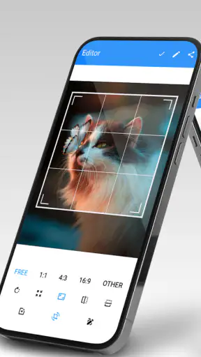 Galleria Semplice screenshot