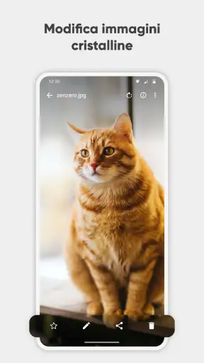 Galleria Semplice Pro screenshot