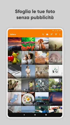 Galleria Semplice Pro screenshot