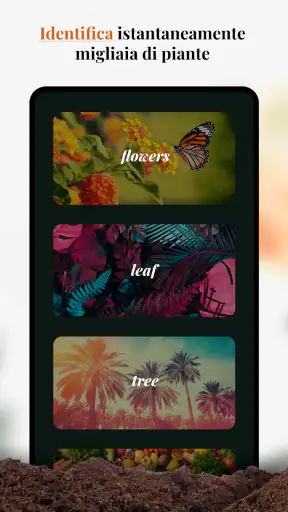 Genio del giardino: identifica screenshot