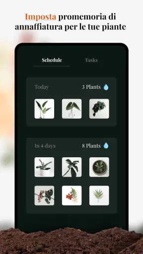 Genio del giardino: identifica screenshot