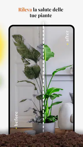 Genio del giardino: identifica screenshot